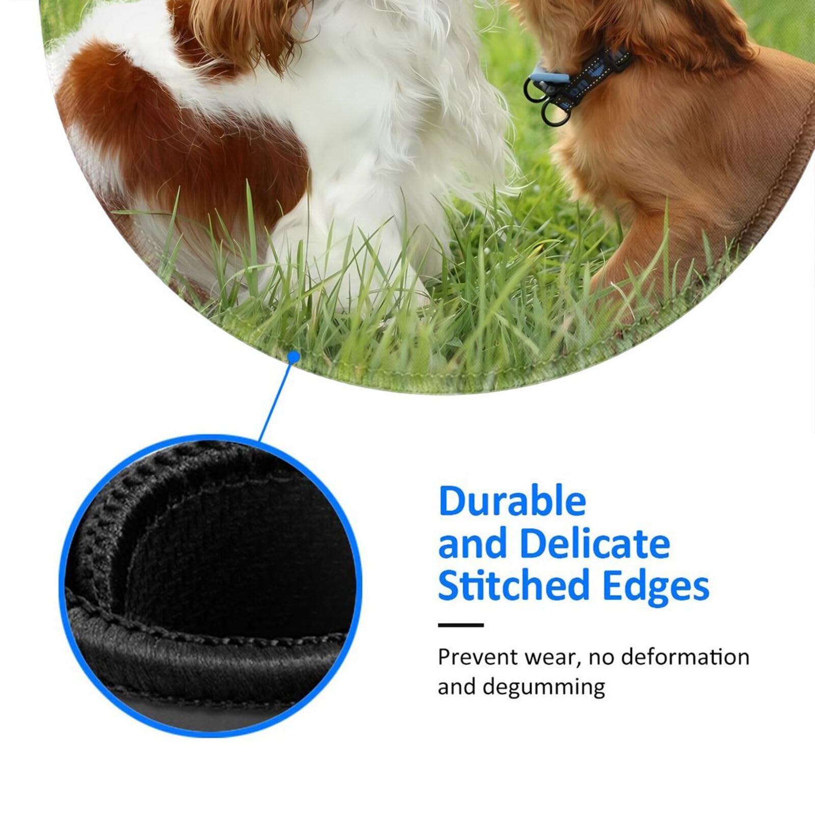 Amazon.co.jp: マウスパッド スパニエル犬 滑り止めマウスマット